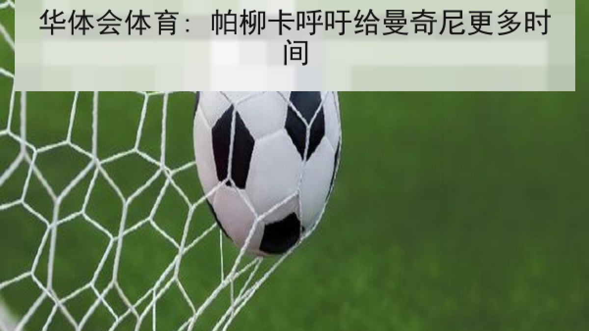 华体会体育: 帕柳卡呼吁给曼奇尼更多时间